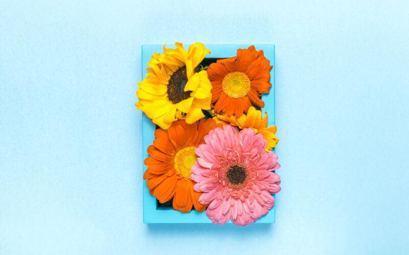 Primavera e Marketing: fai sbocciare il tuo Brand!