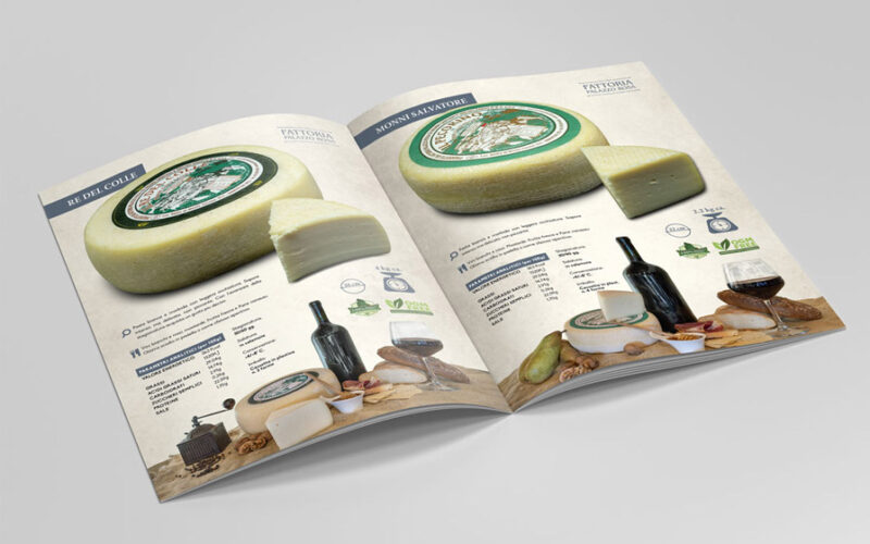 Restyling logo e cataloghi